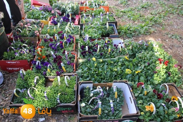 rashidiya 0212 (45).JPG